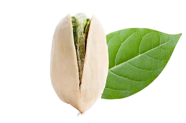 پسته